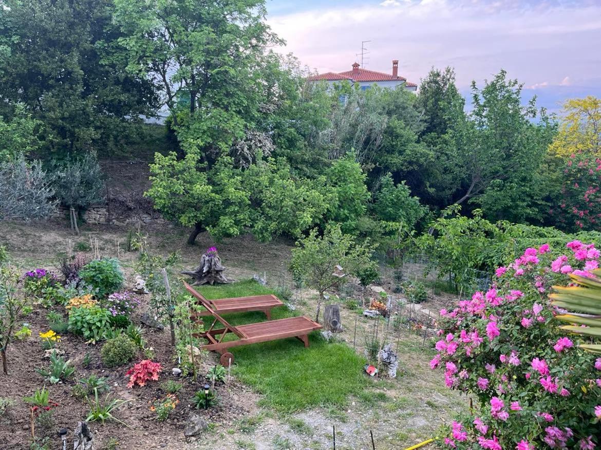 Studio Olea Koper városi község Kültér fotó